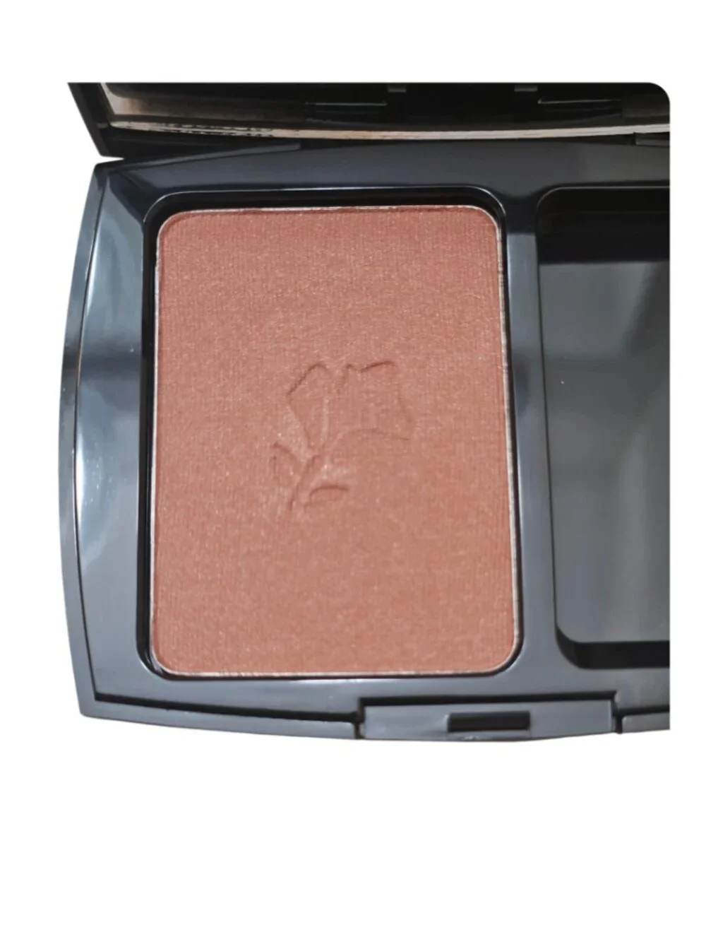 Blush Subtil Powder Blush — Mocha Havana (280)